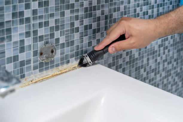 Best Black Mold Removal  in Naranja, FL