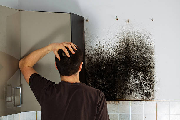 Best Attic Mold Removal  in Naranja, FL